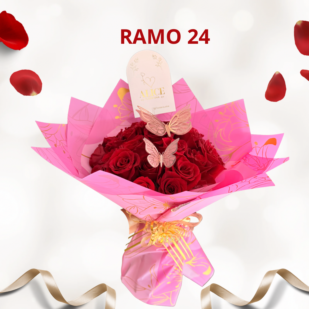 RAMO 24