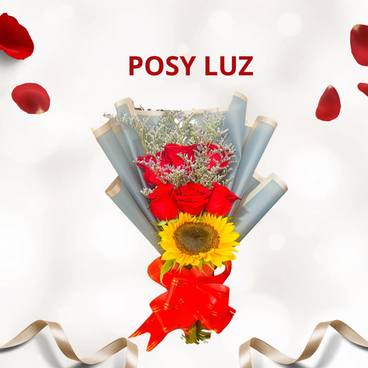 POSY LUZ