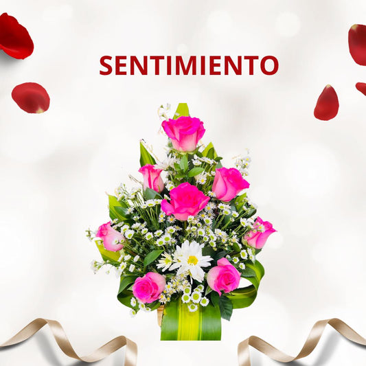 SENTIMIENTO