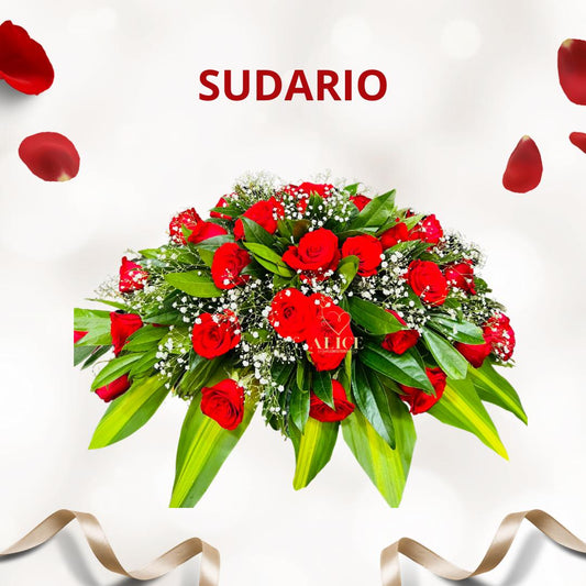 SUDARIO